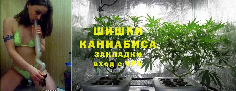 закладка  Дальнереченск  Марихуана Ganja 